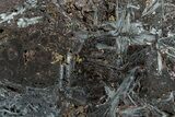 Polished Reticulated Hematite Slab - Western Australia #208233-1